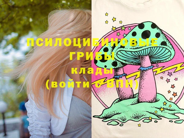 бошки Арсеньев