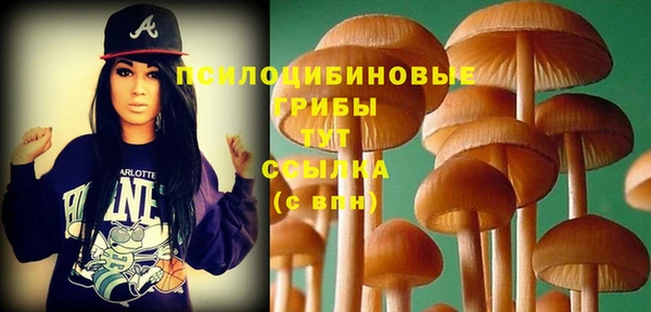 бошки Арсеньев