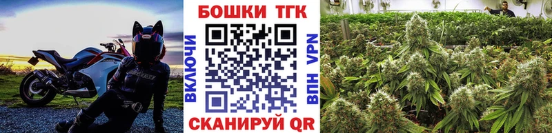 Конопля Amnesia Сунжа
